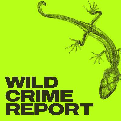 The Wild Crime Report for Monday 5 August 2024