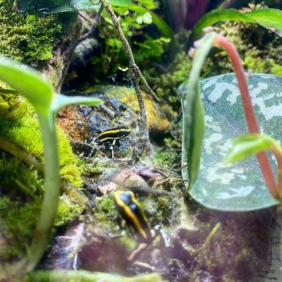 Episode 3 - Minimum Requirements and Doing Better Episode 3 - Minimum Requirements and Doing Better