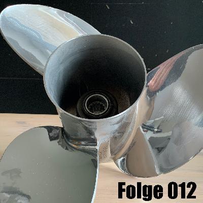 Grundberührung auf dem Rhein - Propeller Reparatur und mehr!