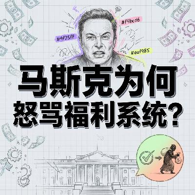 九十亿美元消失了马斯克为何炮轰明尼苏达州揭秘全美最大福利诈骗案