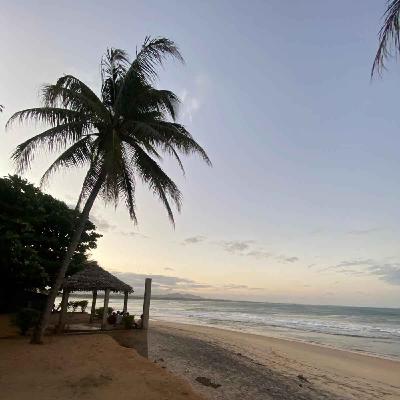 Madagascar : histoires d’une île singulière