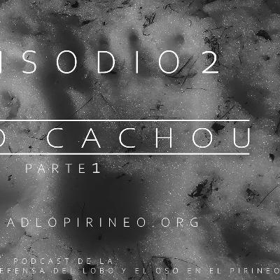 EPISODIO 2: ¿QUÉ PASÓ CON CACHOU? (Parte 1) Oso pardo en los Pirineos / os bru i llop al pirineu EPISODIO 2: ¿QUÉ PASÓ CON CACHOU? (Parte 1) Oso pardo en los Pirineos / os bru i llop al pirineu