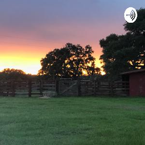 Why are you talking in code?!