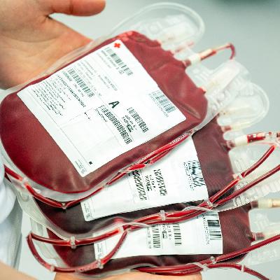 Wie sind die verschiedenen Blutgruppen entstanden?