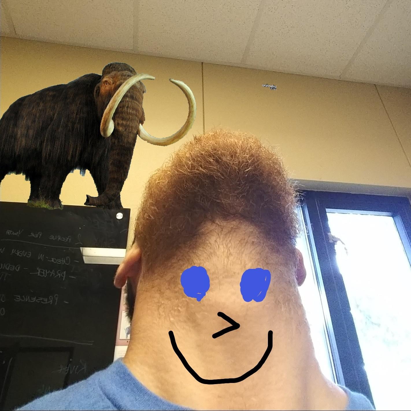 The Struggle Episode 7: Mammoths, Upside Down Beards, and Boredom! episode artwork