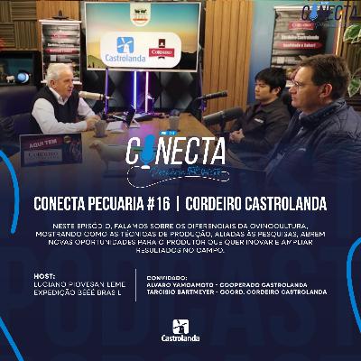 Conecta Pecuaria #16 | Cordeiro Castrolanda