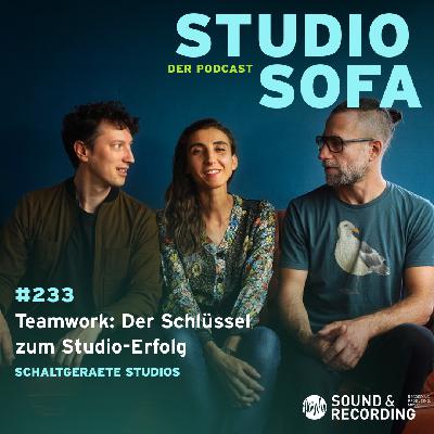 Teamwork – Der Schlüssel zum Studio-Erfolg #233