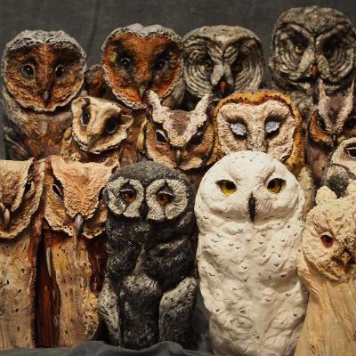 Škoda i Xiaomi Škoda i Xiaomi