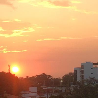 Objeto Resolución 2674 2013