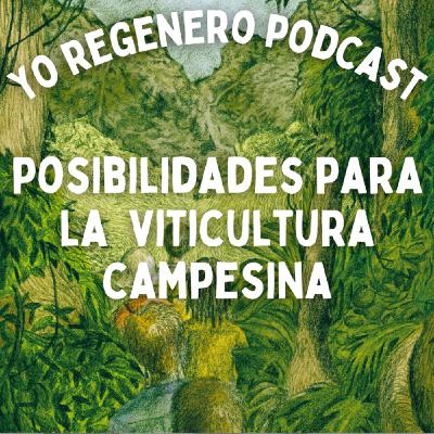 Posibilidades para la Viticultura Campesina