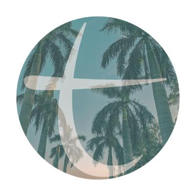 Miracle Worker Pt. II