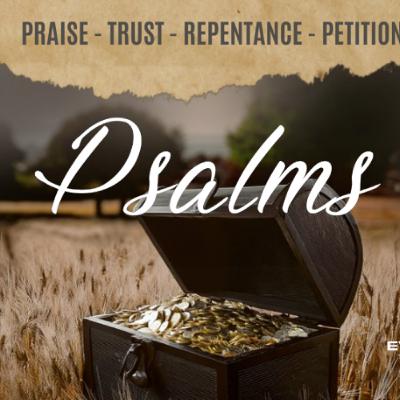 In The Psalms Series- Praise- Christian Lubbe