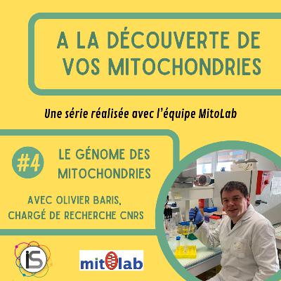 ADM #4 - Le génome des mitochondries, avec Olivier Baris