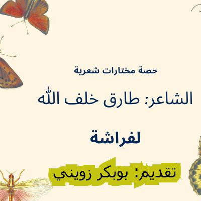 مختارات شعرية (لفراشة )