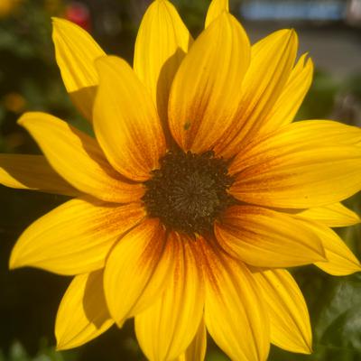 Give Us A Break - Women & Social Media