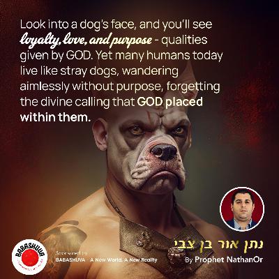 Look into a dog's face by Prophet NathanOr