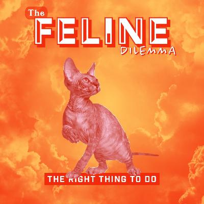 The Feline Dilemma: The Right Thing To Do