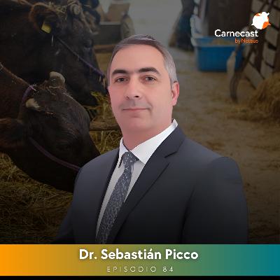 #84 - Dieta sin fibra ni adaptación ruminal en feedlot: ¿Viabilidad productiva? - Dr. Sebastián Picco