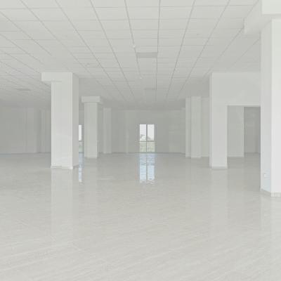 Rozpoltenie mysle (Severance) Rozpoltenie mysle (Severance)