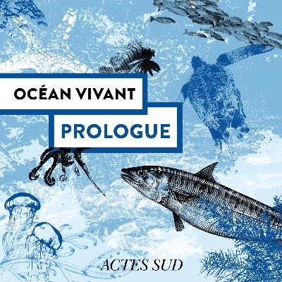 Prologue - Océan Vivant
