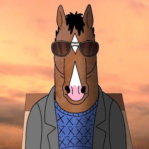 BoJack Horseman:NETFLIX