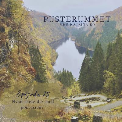 25. Hvad skete der med podcasten?