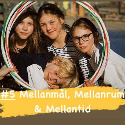 #5 Mellanmål, Mellanrum & Mellantid