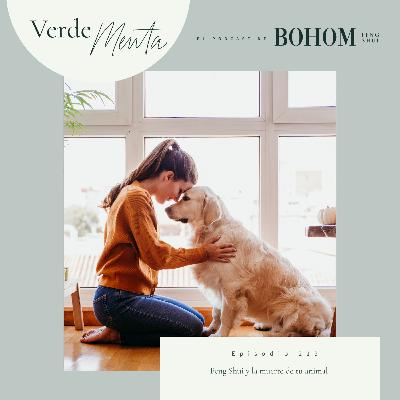 Episodio 219. Feng Shui y la muerte de tu animal