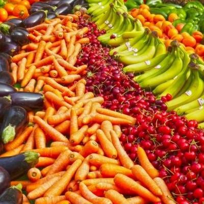 My Plant Base Diet My Plant Base Diet