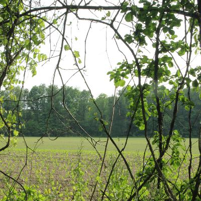 ENG 170 - Final Project ENG 170 - Final Project