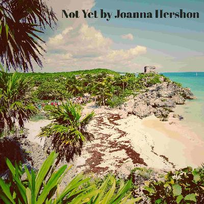 Not Yet by Joanna Hershon