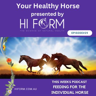 #29 Feeding According to the Horses requirements