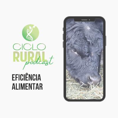#012 - Eficiência Alimentar é só modismo ?