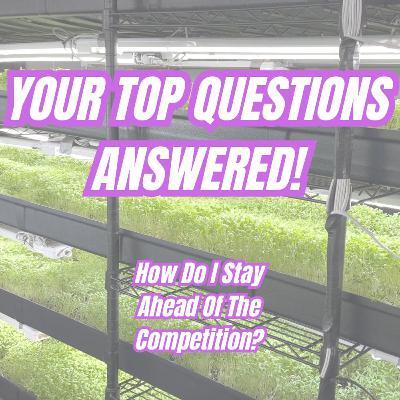 Microgreens Business Tips (Q&A)- Strategies To Create A Lean Profitible Farm