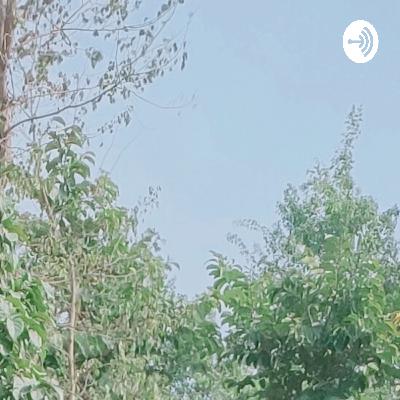 Trailor to sad life story