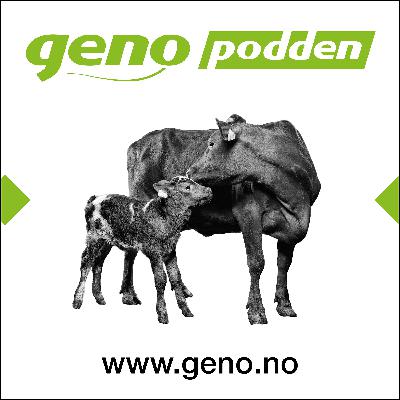 57 Et lite Geno-blikk på 2024