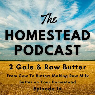 Ep. 16 - From Cow to Butter:  Making Raw Milk Butter on Your Homestead