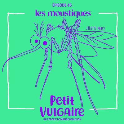 LES MOUSTIQUES