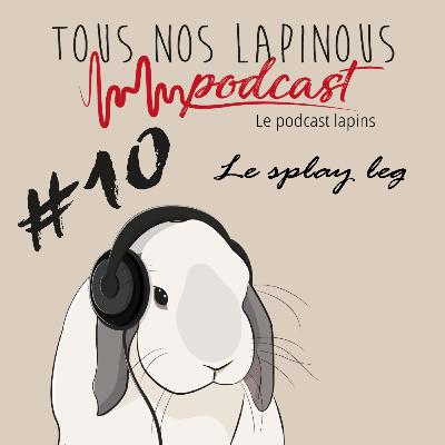 Podcast TNL#10 Le splay Leg Podcast TNL#10 Le splay Leg