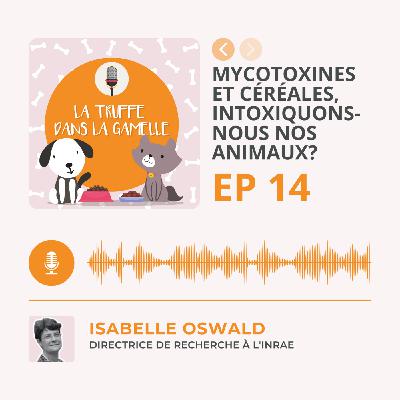 Mycotoxines et céréales, intoxiquons-nous nos animaux?