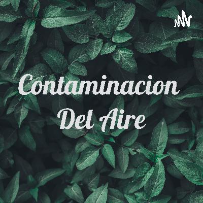 La contaminación del aire