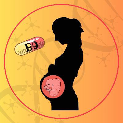Ácido Fólico y el cierre del Tubo Neural.