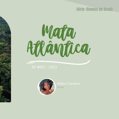 Biomas do Brasil: Mata Atlântica