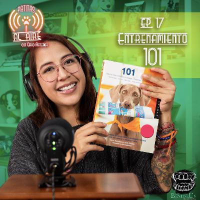 E.17 - Entrenamiento 101 E.17 - Entrenamiento 101