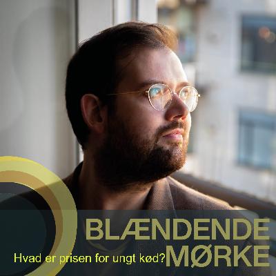 Hvad er prisen for ungt kød?