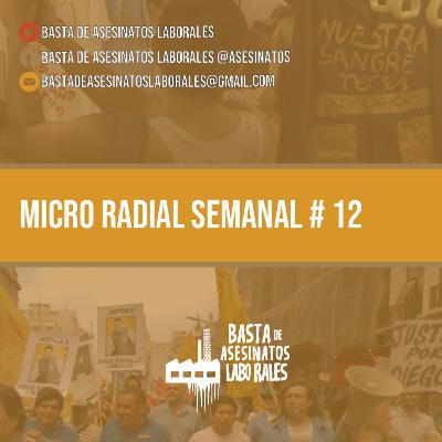 📻 🎙️MICRO RADIAL BAL #12 / Noviembre 2020