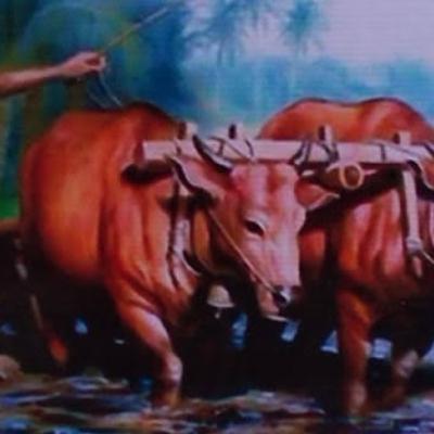 PAK MENDONG DAN BU MENDONG-JAWA TIMUR