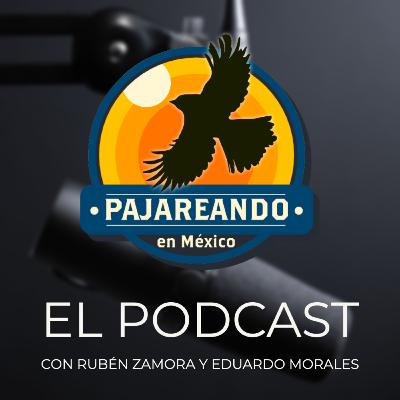 Bienvenida Bienvenida