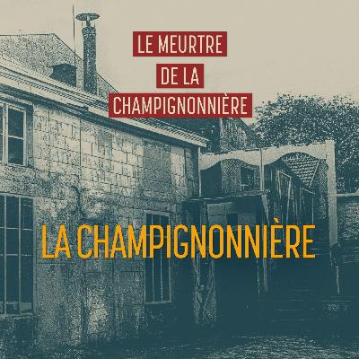 Episode 2 : La champignonnière