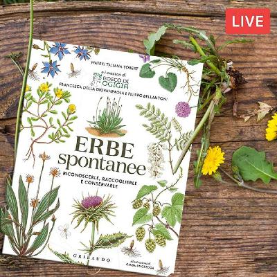 Riconoscere le erbe spontanee di primavera. Con Wateki Taliana Tobert
